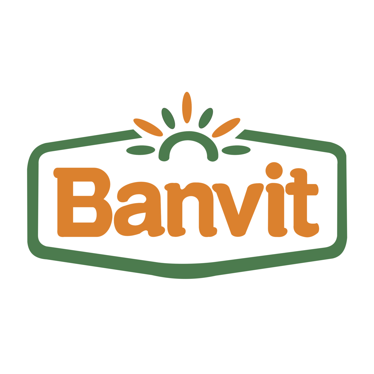 banvit-logo
